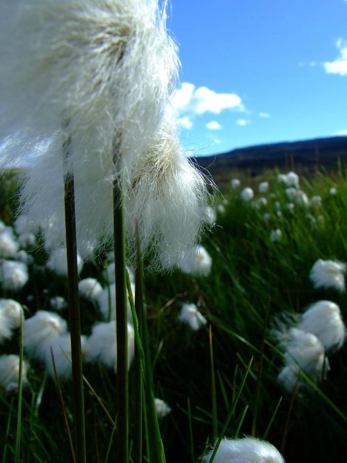 Solvanes Farmholidays Varmahlíð Exteriör bild